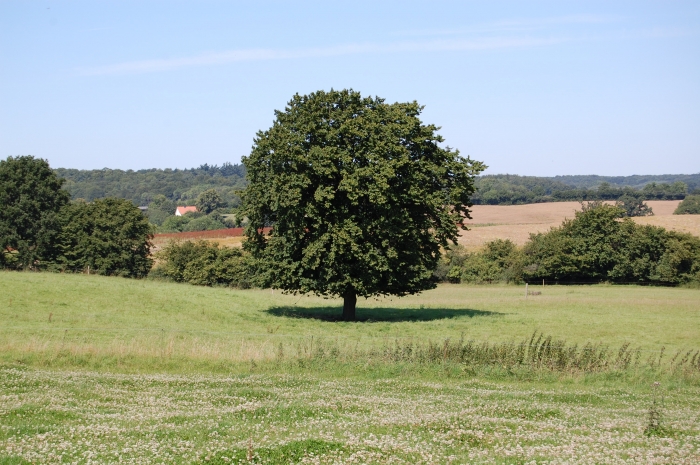 Philip von Neindorff